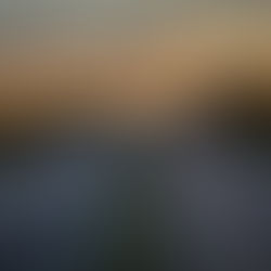 En motorväg med bilar