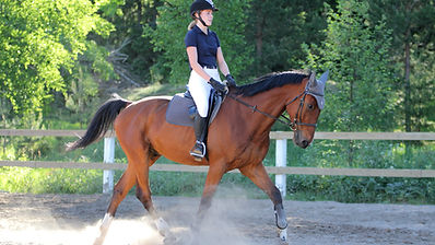 이미지 제공: Elisa Pitkänen