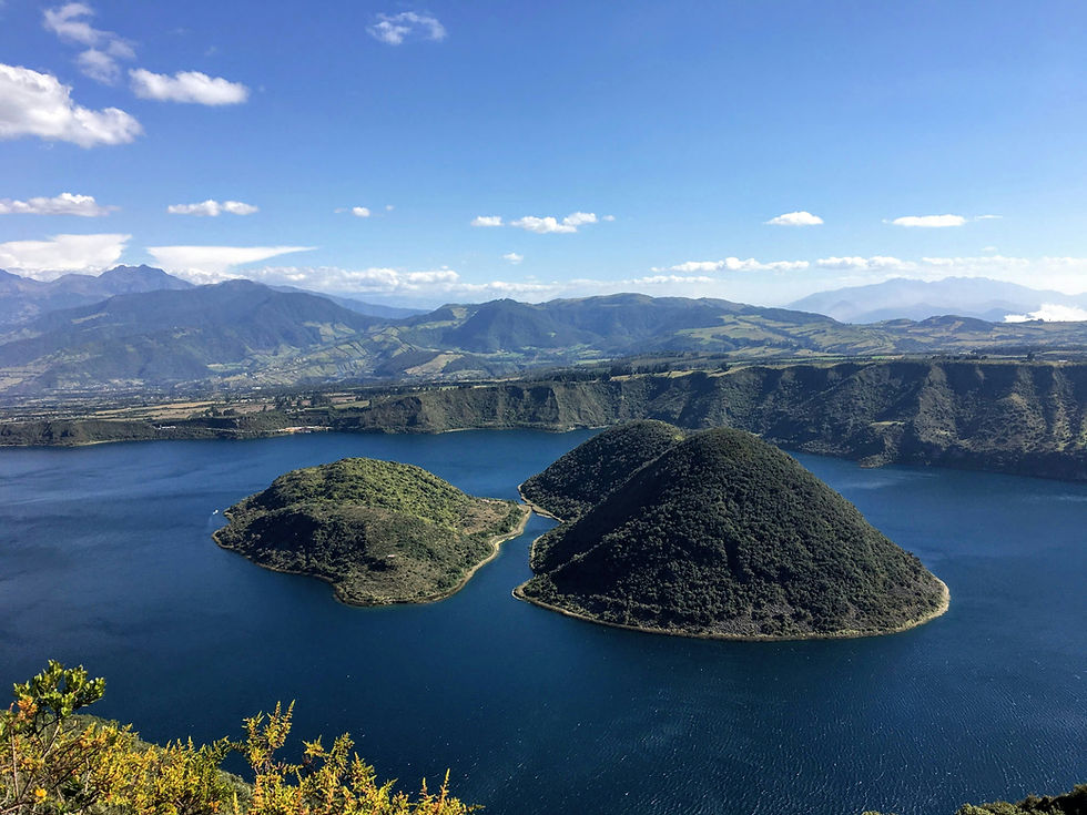 Image by Paul Jacome