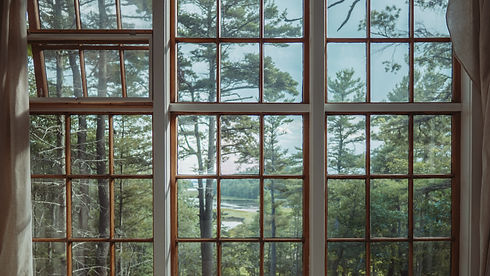 Image by Mark Olsen windows view to a forest 