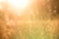 Image by Kent Pilcher