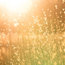 Image by Kent Pilcher