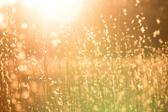 Monthly Transmissions of the Rays of Divine Consciousness