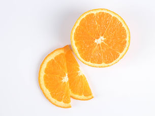 Os fios artificiais regenerativos, feitos de celulose reaproveitada, anunciam uma nova era sustentável: matéria viva que se renova infinitamente.