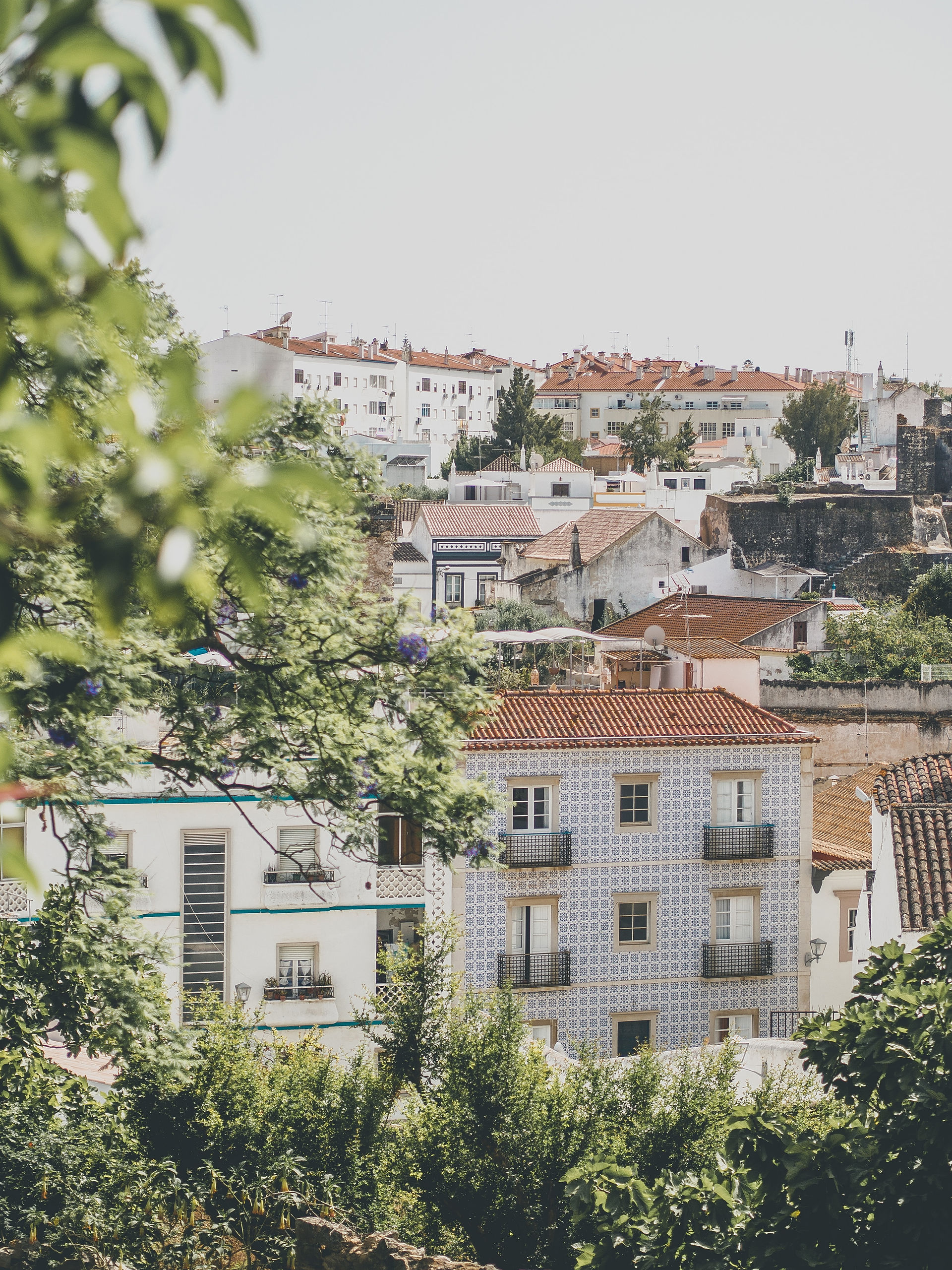 Tavira