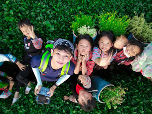 Group of kids looking up