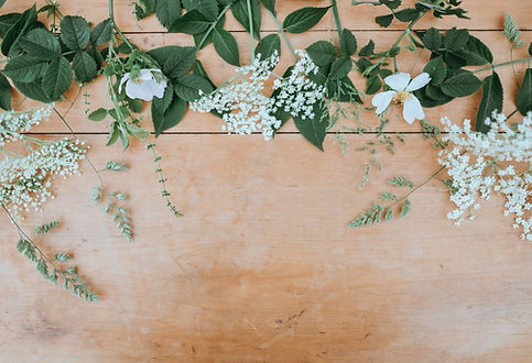 Image de Annie Spratt