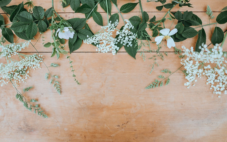 Image by Annie Spratt
