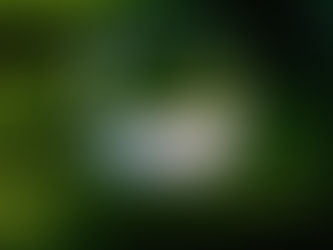 ESG e Direito: Como Proteger sua Empresa com Responsabilidade e Segurança Jurídica