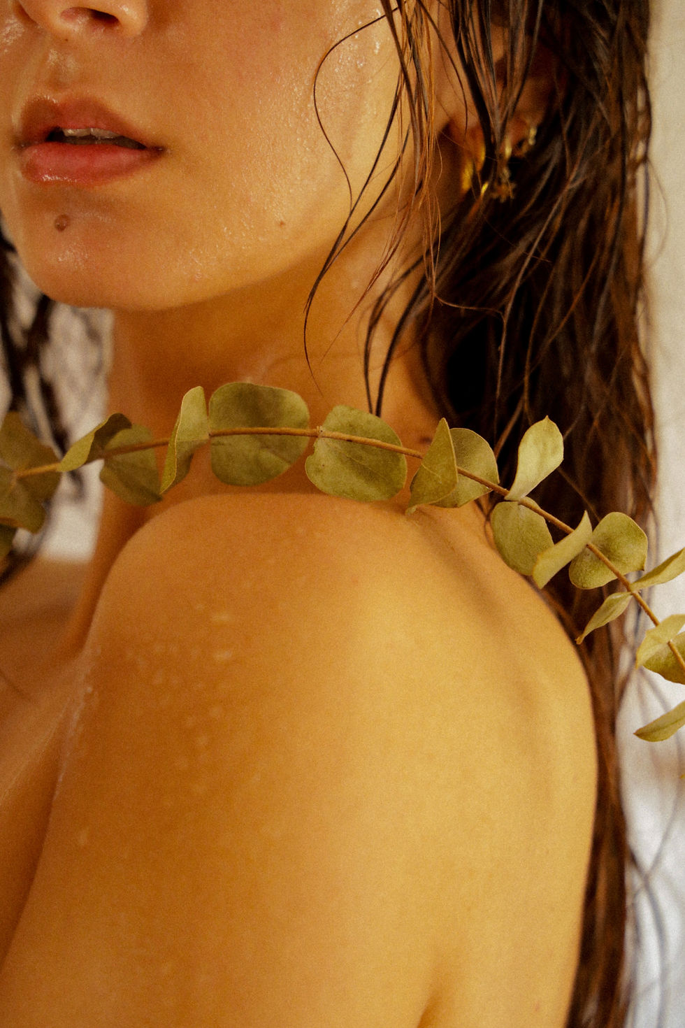 Close-up of natural beauty products arranged on a wooden table