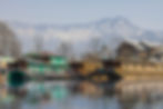 Image by Isa