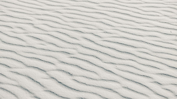 Image by Royce Fonseca