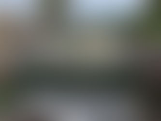 Un Taureau imprimé sur une pièce métallique.