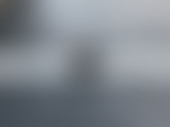 A Muscovy Duck crossing a road in a residential subdivision