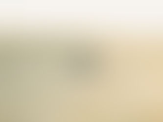 イザヤ書53章6節