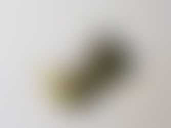 Expert Vaccine Update: Biodextris and Emergence Creative