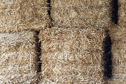 Hay Rides Image by Lluis Bazan