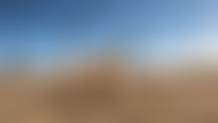 How Much Do Private Investigators Cost In California?