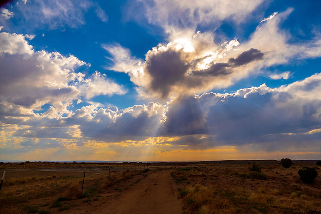 Image by Michael Herren