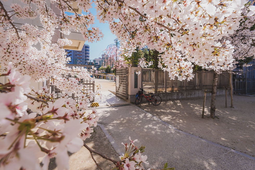 Image by Zhaoli JIN