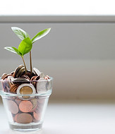 Image by micheile henderson