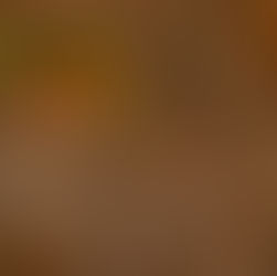 Hidden Crafts Market 