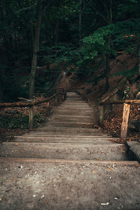Image by Paul Meckes