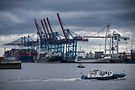 Image by Moritz Lüdtke