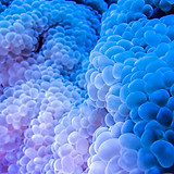 Image by Nariman Mesharrafa