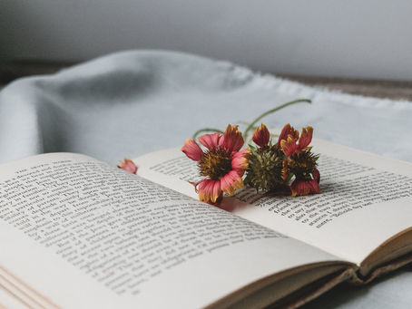 Citations de littérature française et étrangère 