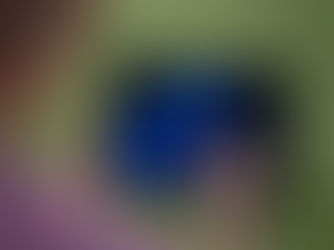 What is The Best Method of Software Application Modernization?