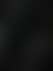 El calentamiento global impulsa las invasiones de insectos