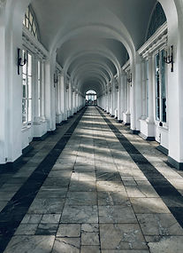 Image by Roman Savchenko