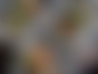 Sandwich Tuesday: Smørrebrød – Offene Sandwiches voller Geschmack