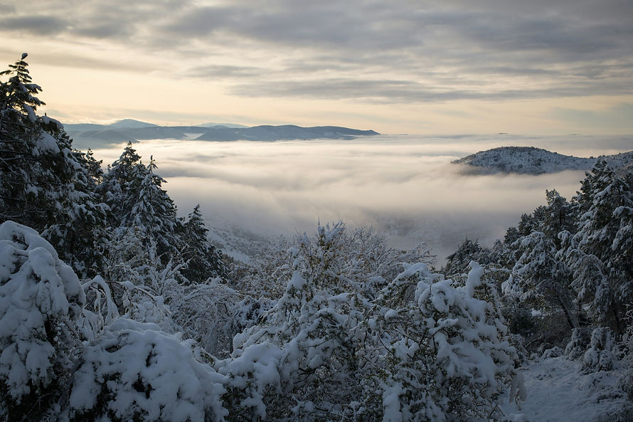 Image de Alexandre POLOUNOVSKY