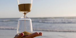 Image by Paula Guerreiro