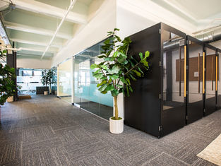 How Nature-Inspired Designs Improve Workplace Wellbeing