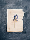 Image by Joyce McCown