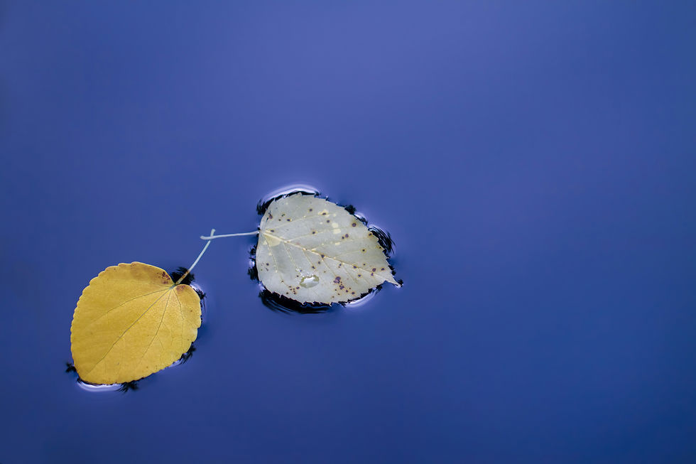 Beneath the Surface