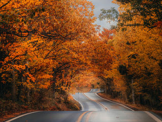 Fall Starts Here: 3 Events to Put on Your Calendar