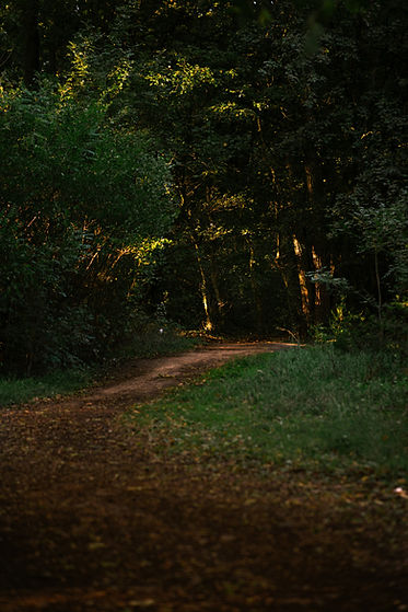 Image by Răzvan Roșu