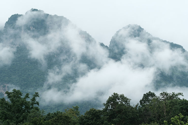 Image by Marco J Haenssgen
