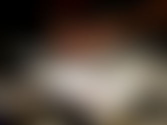 ¡Salud Pública! Tabasco Lanza Gran Campaña Antirrábica