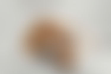 Don't Forget the Pupnup