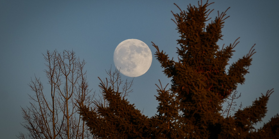 Full Moon Prairie Bathing w/Three Rivers Parks