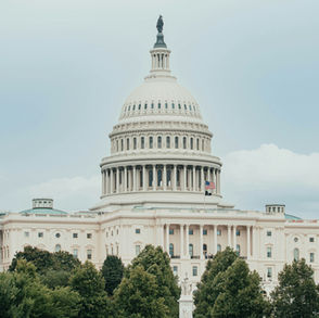 Handling the election results