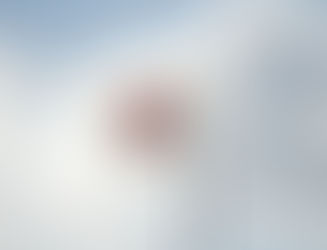 曇り空を背景に、赤い丸の入った日本の国旗が旗竿に翻り、静謐で荘厳な雰囲気を醸し出している。