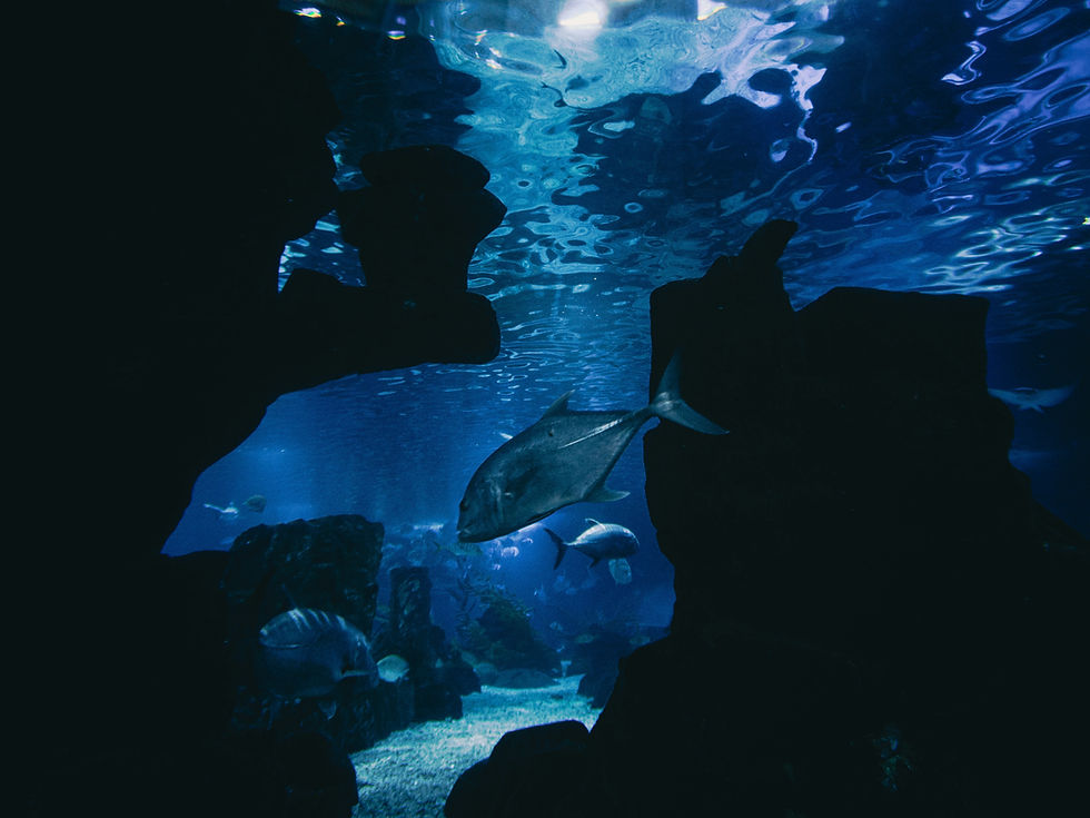 Located within Innovative Film City, Aqua Kingdom is a compact water park featuring splash pools in Bangalore