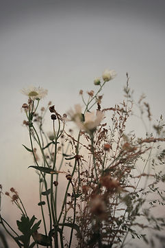 Image by Christina Deravedisian