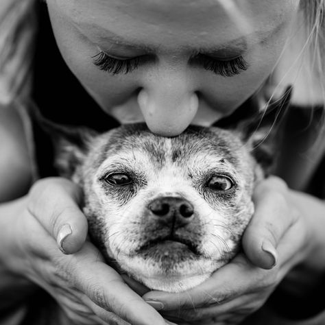 Hundesenior wird auf den Kopf geküsst